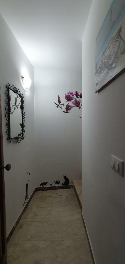 Apartament Casa Enrico Castelmola Zewnętrze zdjęcie